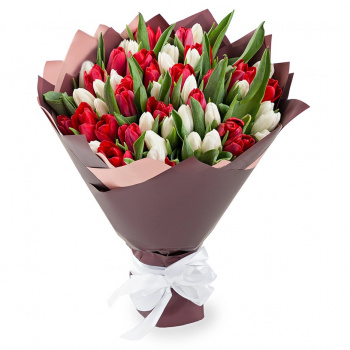 51 разноцветный тюльпан