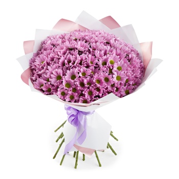 Букет из 25 сиреневых хризантем