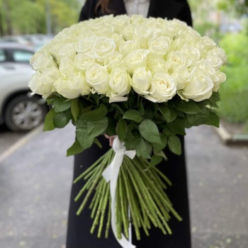 101 белая роза Premium 60 см.