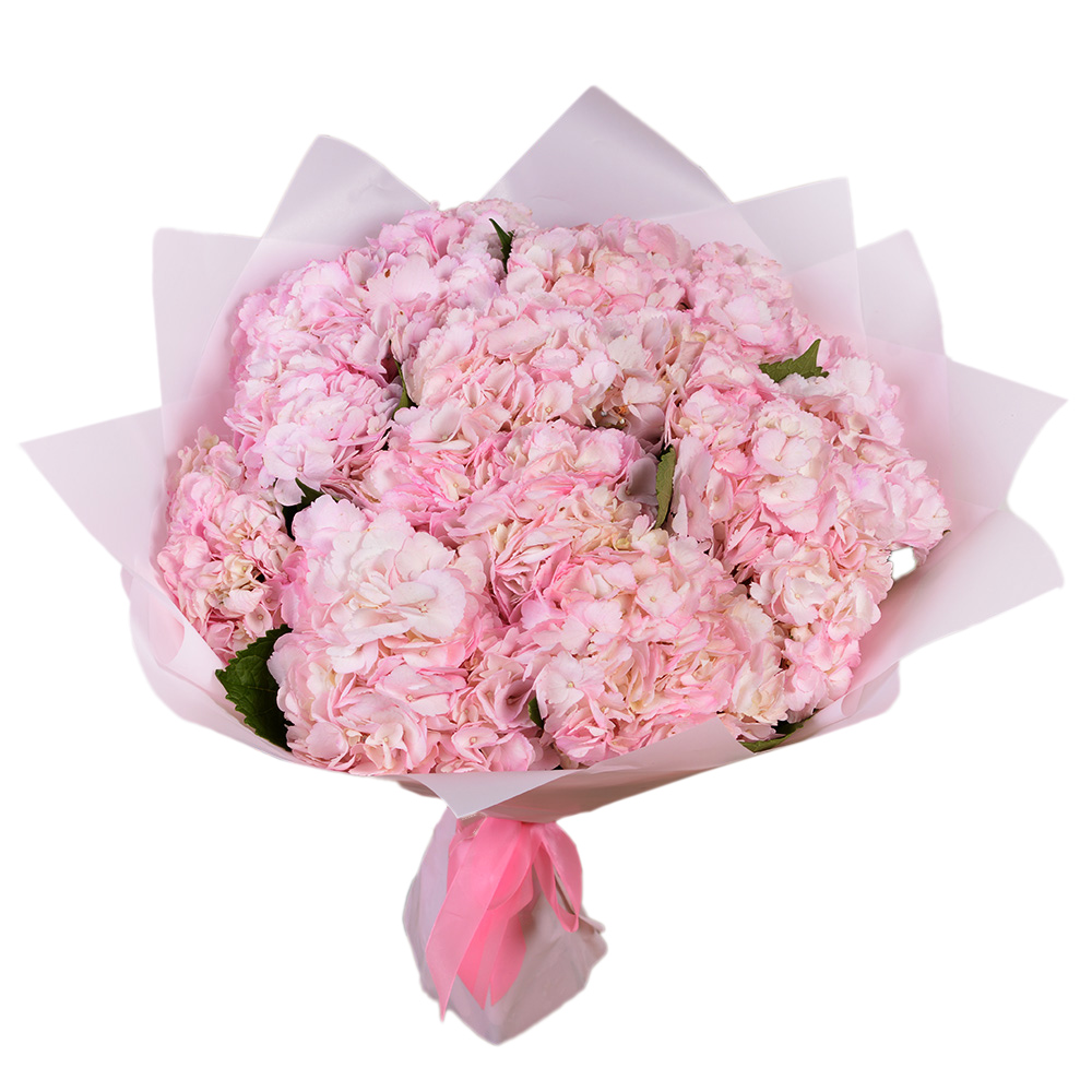 15 розовых гортензий