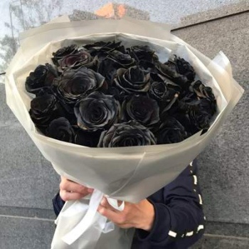 Букет из 19 чёрных роз Эквадор